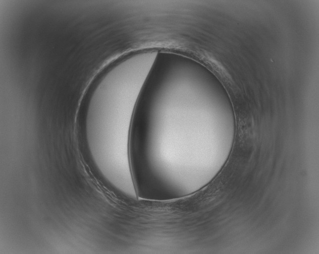 X0000074040628200608211203