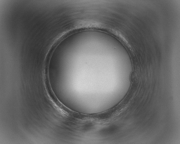 X0000074040629200608211203