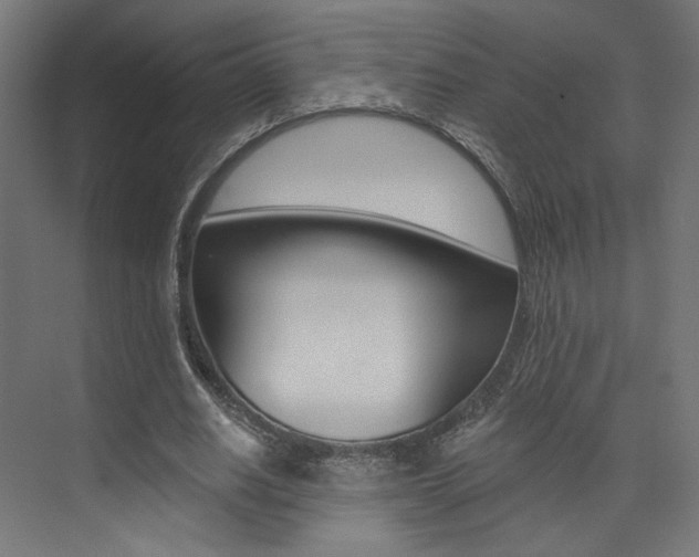 X0000074040630200608211203