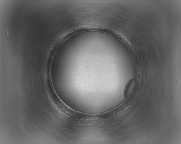 X0000074040631200608211203