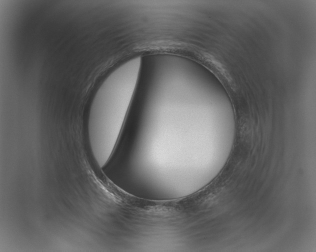 X0000074040633200608211203