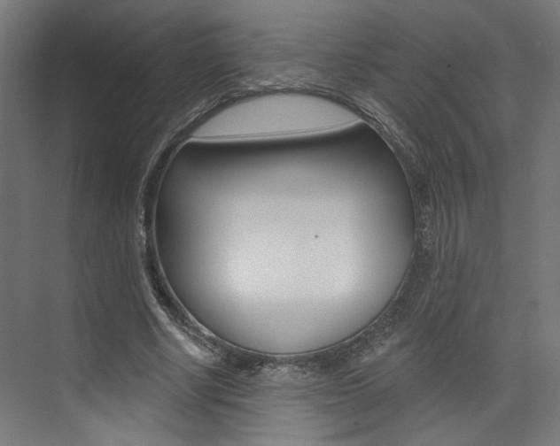 X0000074040634200608211203