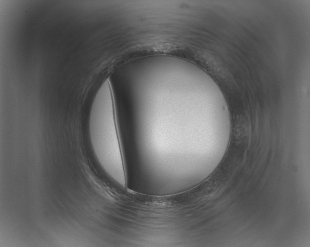 X0000074040639200608211203