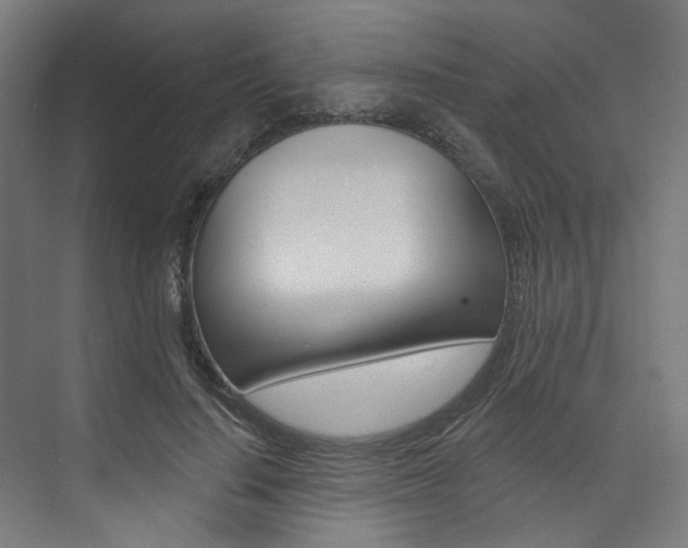 X0000074040644200608211203