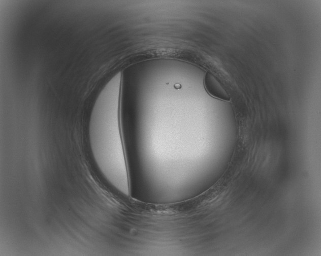 X0000074040645200608211203