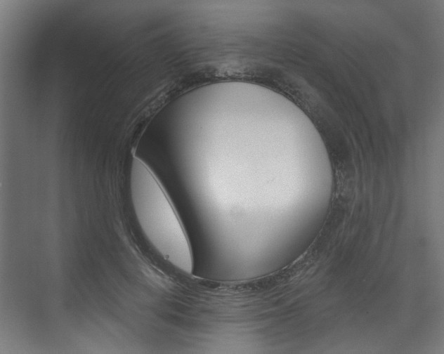 X0000074040648200608211203