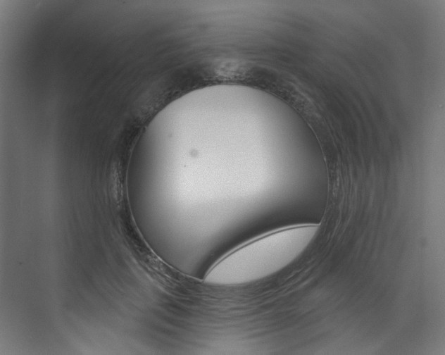 X0000074040651200608211203