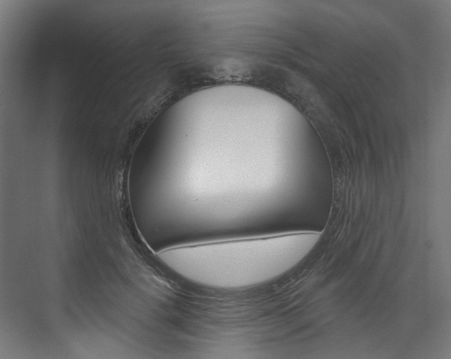 X0000074040652200608211203