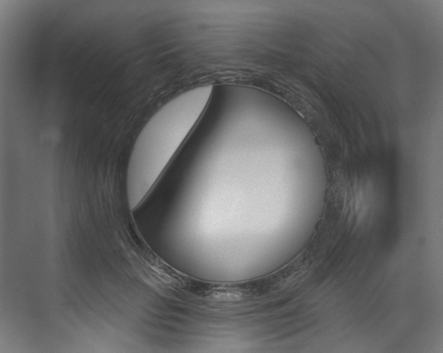 X0000074040653200608211203