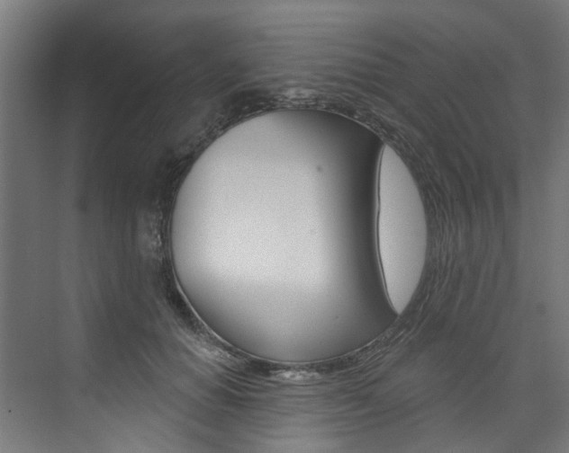 X0000074040654200608211203