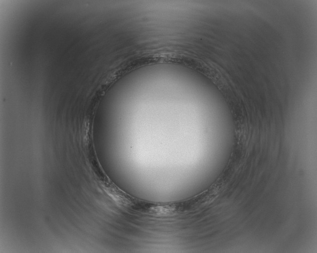 X0000074040660200608211203