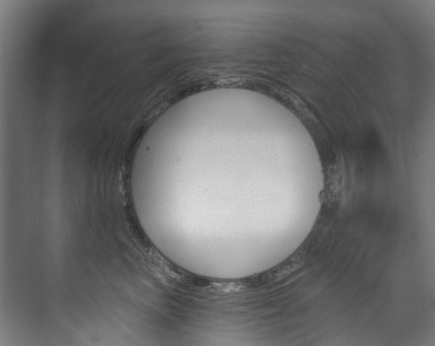 X0000074040667200608211203