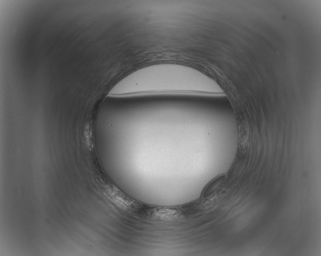 X0000074040669200608211204
