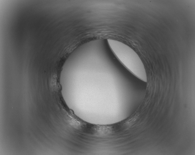 X0000074040670200608211204