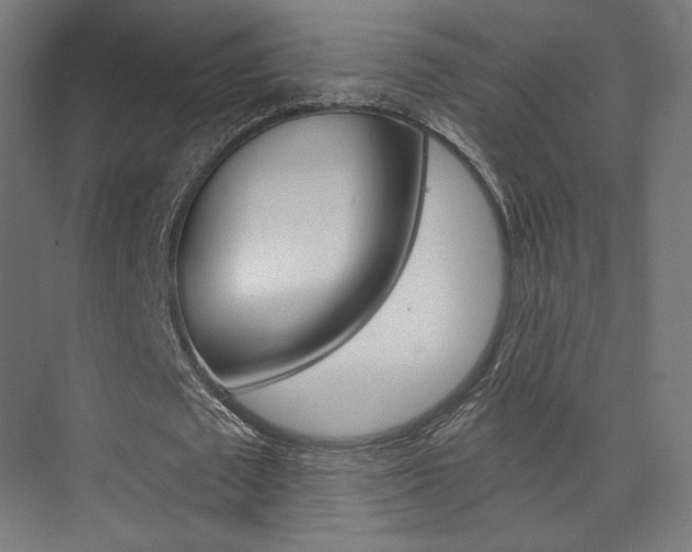 X0000074040673200608211203