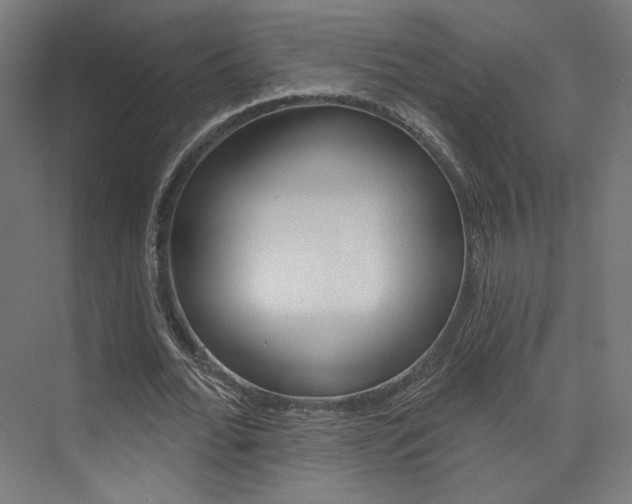 X0000074040676200608211203
