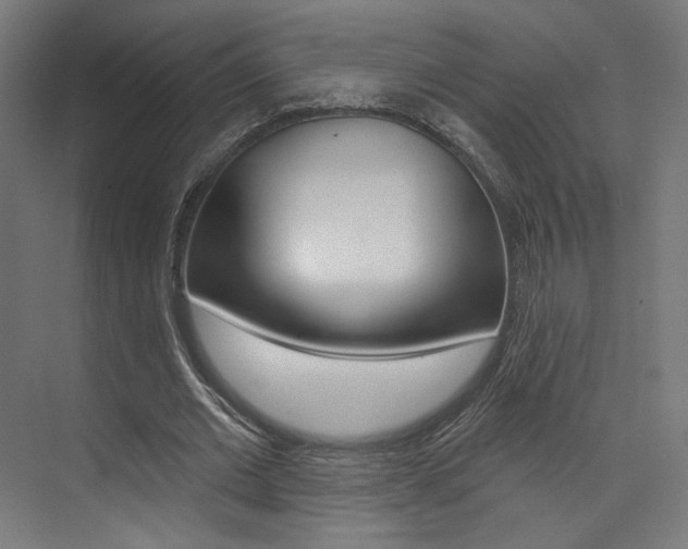 X0000074040677200608211203