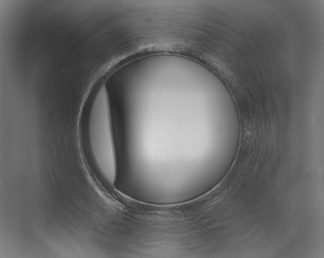 X0000074040678200608211203