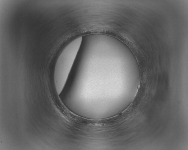 X0000074040687200608211203