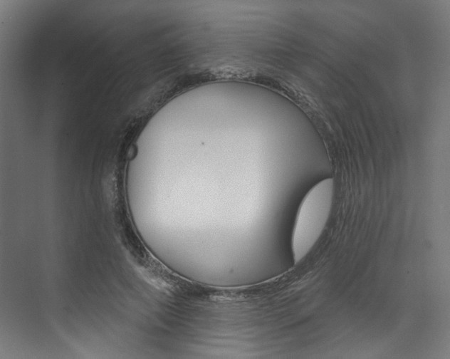 X0000074040690200608211202