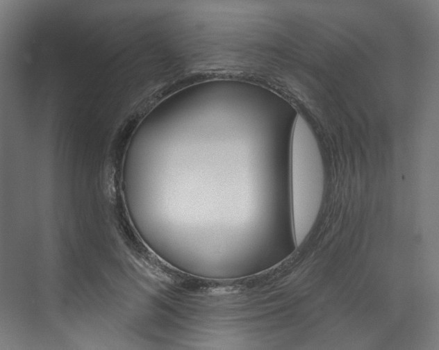 X0000074040692200608211202
