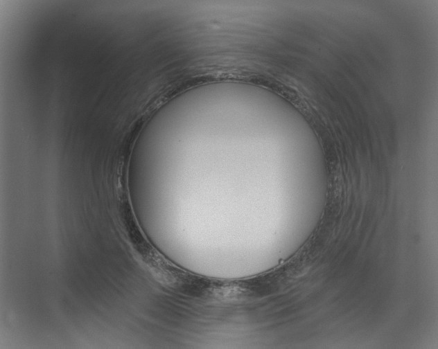 X0000074040695200608211202