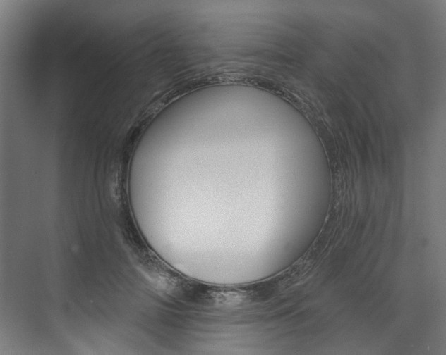 X0000074040698200608211202