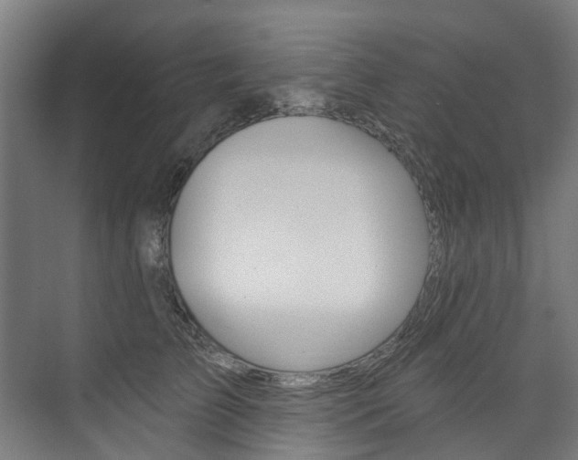 X0000074040709200608211202