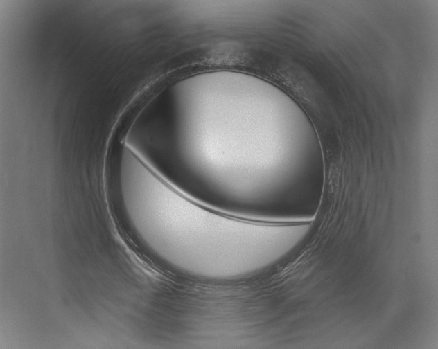 X0000074040722200608211201