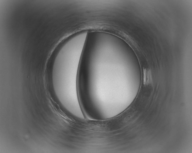X0000074040723200608211201