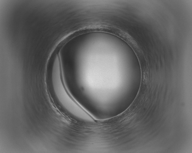 X0000074040724200608211201