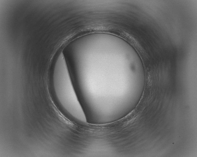 X0000074040725200608211201