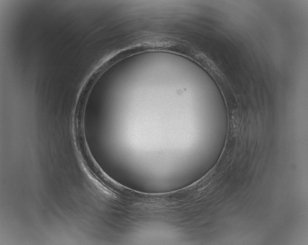 X0000074040726200608211201