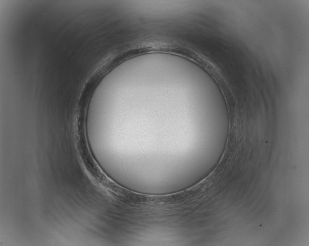 X0000074040730200608211201