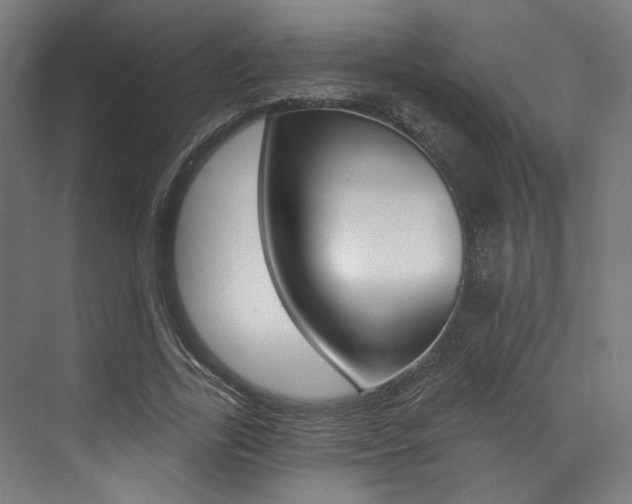 X0000074040731200608211201
