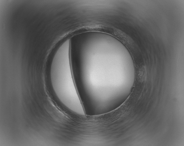 X0000074040732200608211201