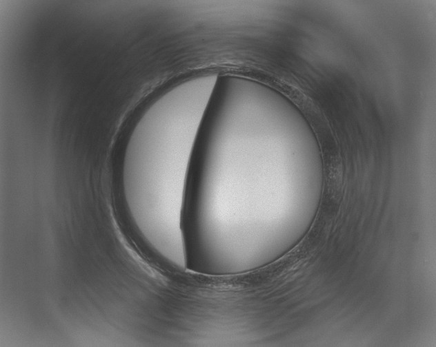 X0000074040734200608211201
