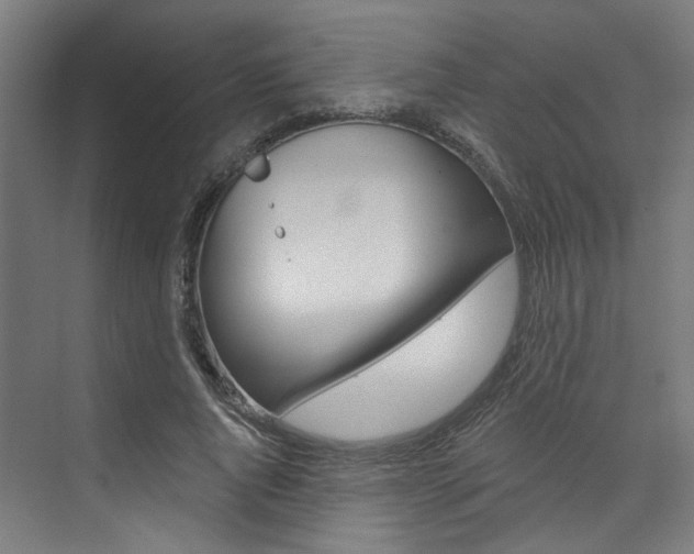 X0000074040736200608211201