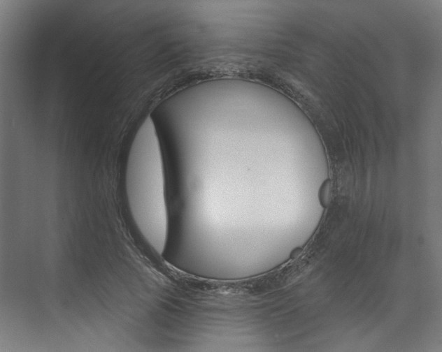 X0000074040737200608211201