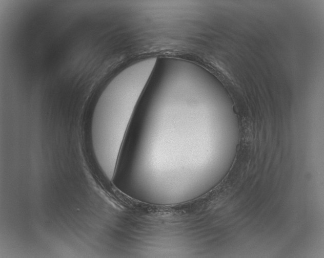 X0000074040738200608211201