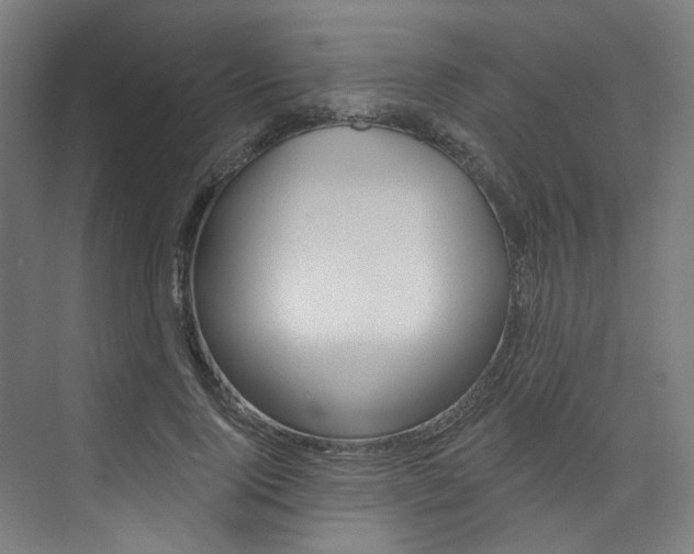X0000074040740200608211201