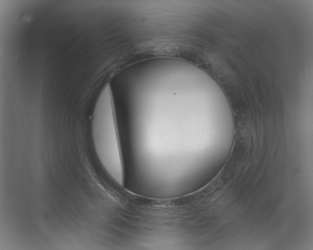 X0000074040744200608211202