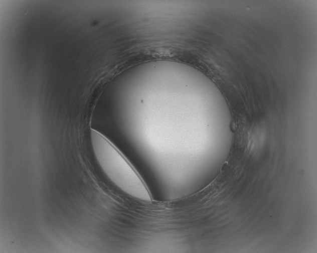 X0000074040747200608211202