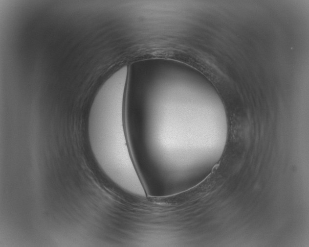 X0000074040748200608211202