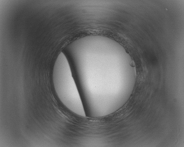 X0000074040749200608211202