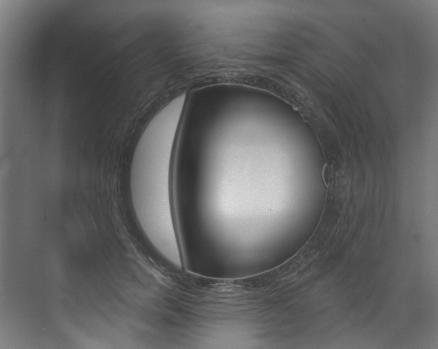 X0000074040750200608211202