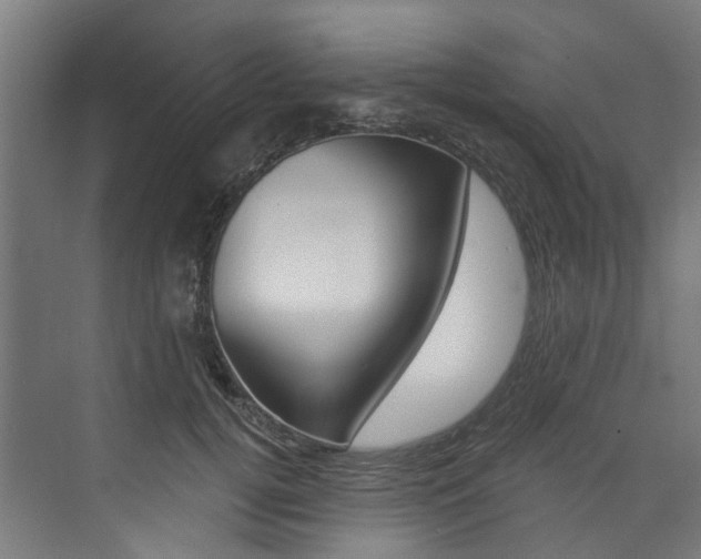 X0000074040752200608211202