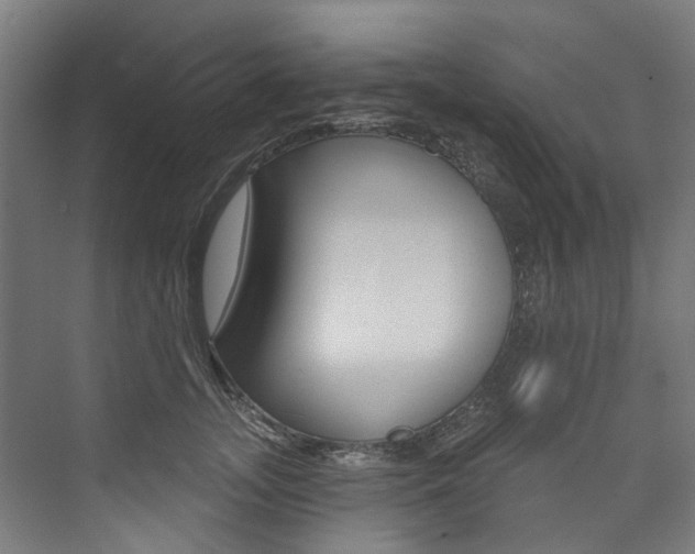 X0000074040755200608211202