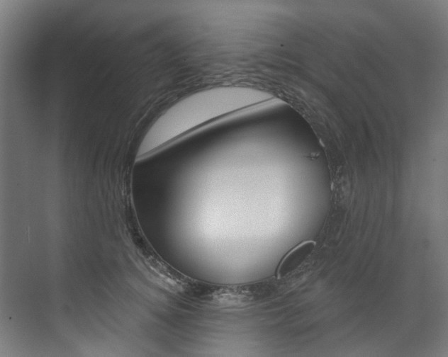 X0000074040756200608211202