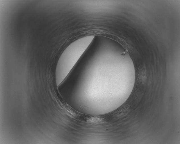 X0000074040759200608211202